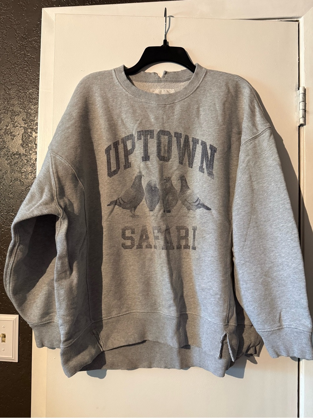 Aerie Women’s Gray Crewneck Sweatshirt